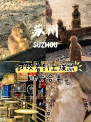 -造物庄园 萌宠纪(苏州湾歌林公园店)