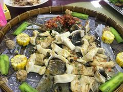 -新地休闲农场
