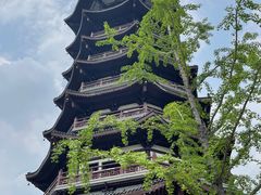 -洋湖国家湿地公园