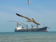 -那香海钻石沙滩浴场