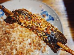 鳝鱼-晓靖轩烧烤(沙河风情店)