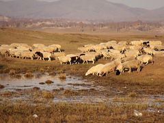 -塞罕坝国家级自然保护区