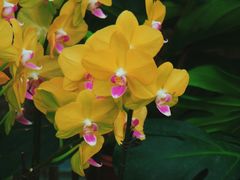 -北京植物园-展览温室