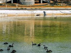 -水上乐园·欢乐世界