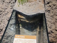 -上海长江河口科技馆