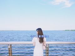 -南汇嘴观海公园