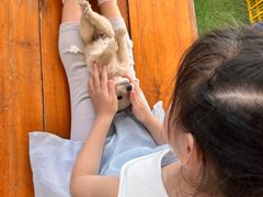 -庞各庄翠芳园西瓜蔬菜基地采摘园