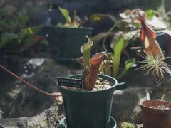 -国家植物园南园