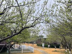 -广东大峡谷