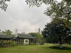 -江心屿景区