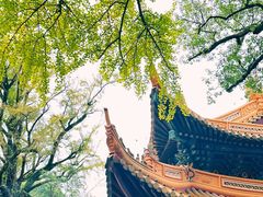 -普陀山风景区-佛顶山