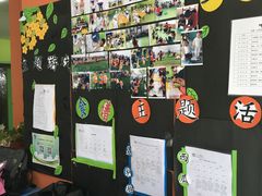 -四叶草托育园(张江园店)