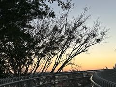-华侨公园