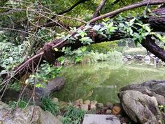 -杭州西湖风景名胜区-三生石