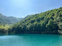 -午潮山国家森林公园