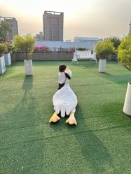 -维倪月子会所(独栋庭院·南海店)