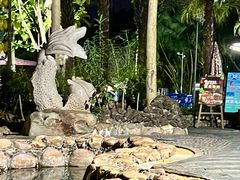 -三亚海棠湾南田温泉神龙谷