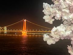 -武汉两江游览·夜游长江(汉口粤汉码头)