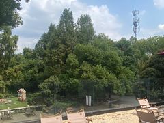 -J Create城市露营咖啡·简餐·宠物(上海动物园店)