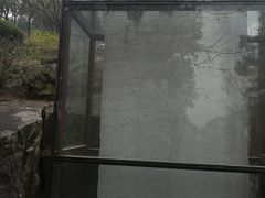 -香雪海