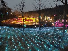 -青龙山国家森林公园