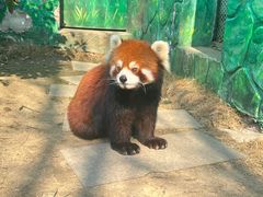 -常州淹城野生动物世界