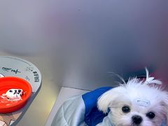 -DQ·蛋糕·冰淇淋(合生汇店)