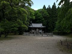 -醍醐寺