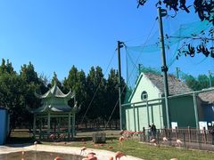-秦皇岛野生动物园