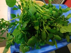 -同顺鹅庄(南华路店)