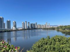 -厦门园林博览苑