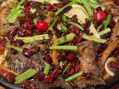 -老板恋上鱼(恒隆广场店)