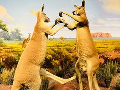 -陕西自然博物馆