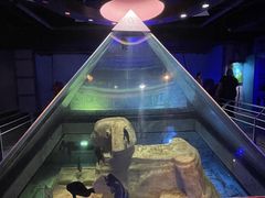 -大连圣亚海洋世界