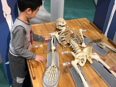 -大阪儿童乐园