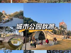 -金砂公园