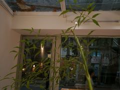 -Onirii Coffee(长乐路店)