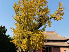 -苏州文庙(姑苏区)