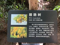 -北京植物园-展览温室