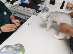 -宠颐生动物医院·全科·骨外科中心·利宠康分院