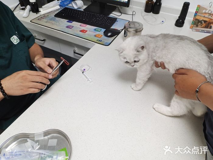 宠颐生动物医院·全科·骨外科中心·利宠康分院图片