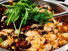 水煮鱼-何哥鲜鱼餐厅(龙湖花园店)