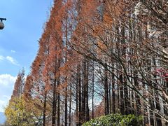 -滇池海埂公园