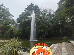 -九龙公园