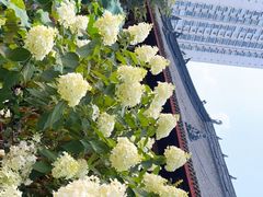 -古大圣慈寺