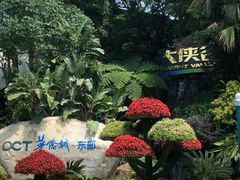 -东部华侨城