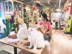 -小时光咖啡馆(开森度假森林店)
