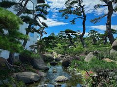 -罗红摄影艺术馆