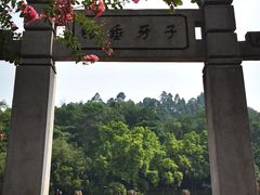 -三水森林公园