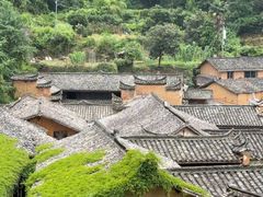 -杨家堂村